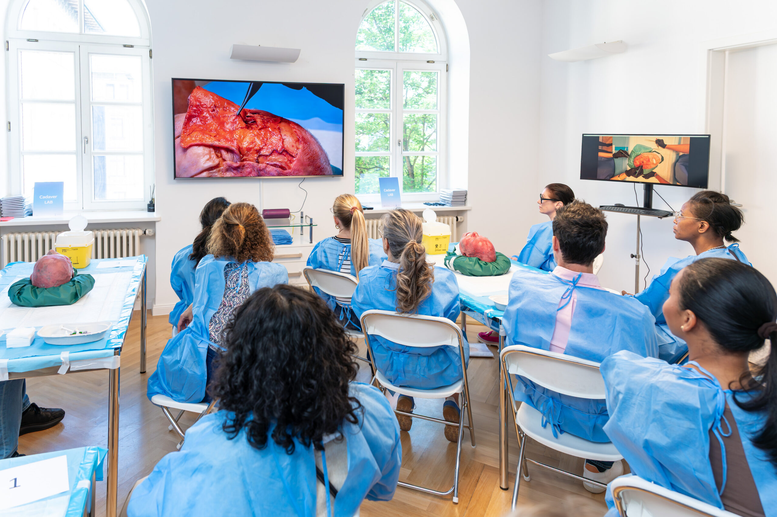 Anatomy Deep Dive with Cadaver Video Demonstrations